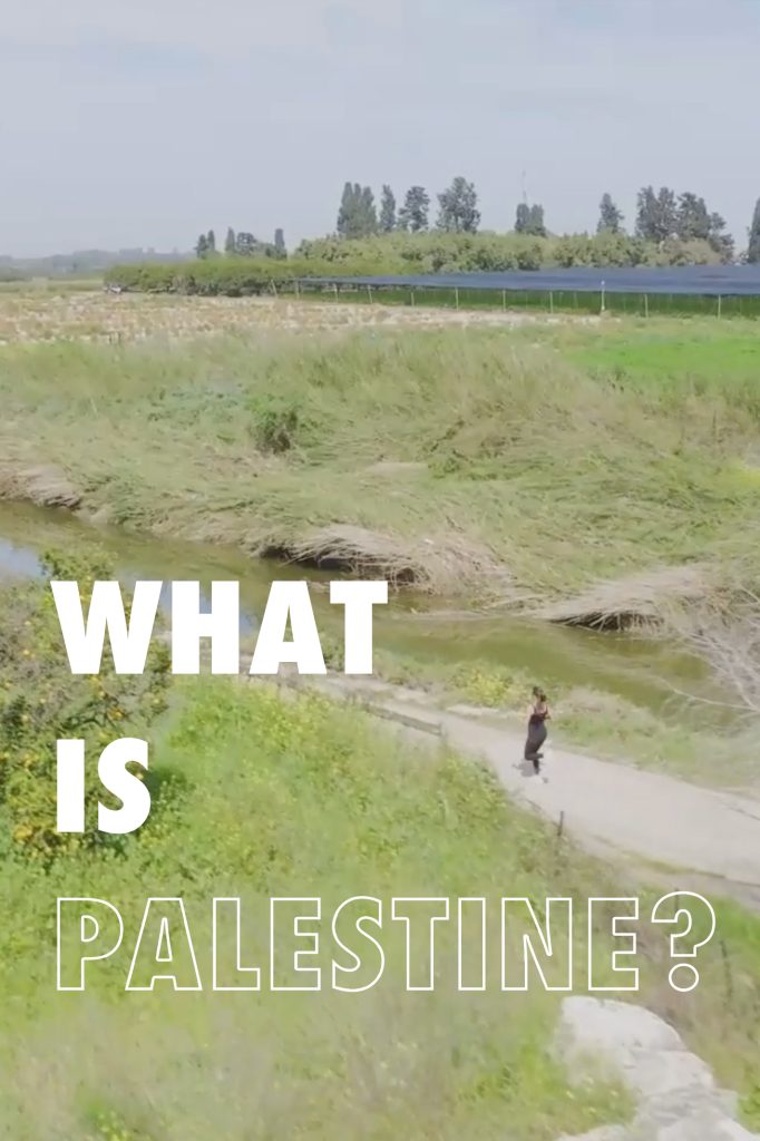 what is palestine